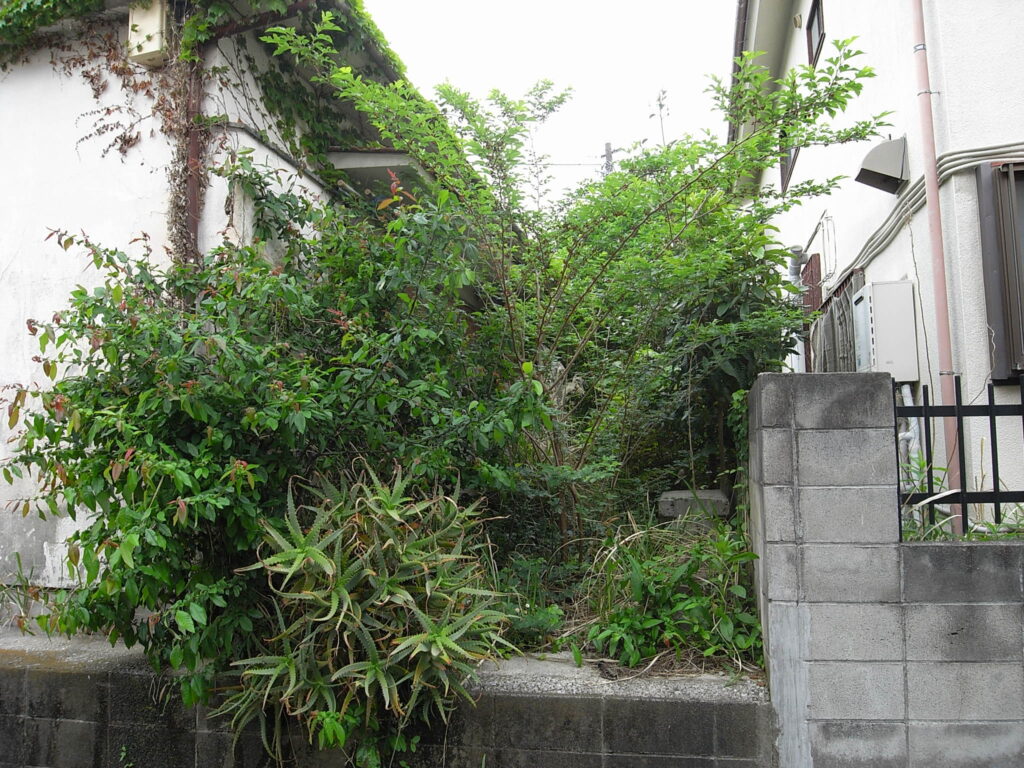 横浜市で庭が生い茂っている状態でした。