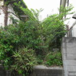 横浜市で樹木の剪定と雑草の刈りこみを行いました。