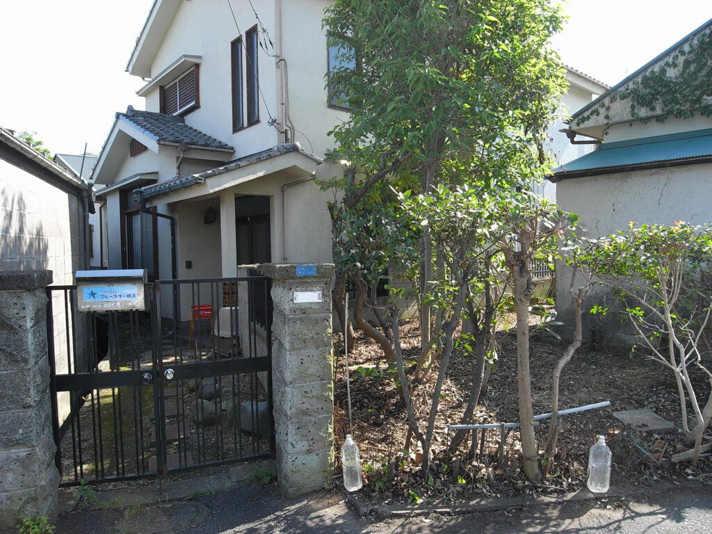 横浜市で境界からはみ出していた樹木を刈りこみました。