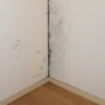 マンションのカビ、結露に断熱工事で対策。