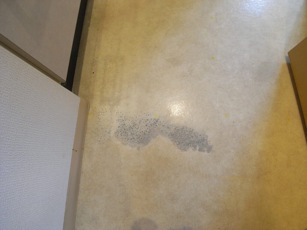洗面所の床に出てきた黒いシミ。