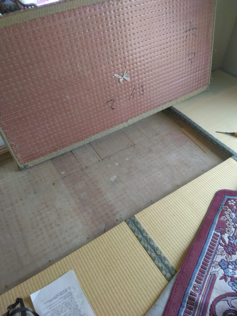 和室の畳の下の床を確認しています。横浜市鶴見区