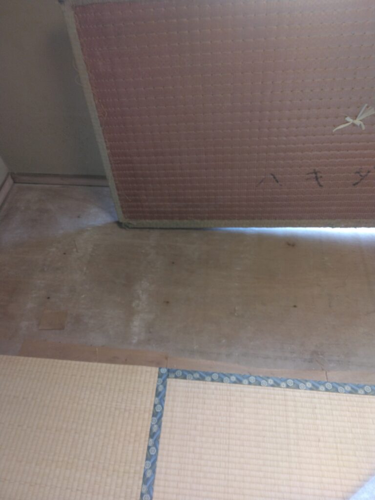和室の畳の下の床の状況を確認しています。横浜市鶴見区