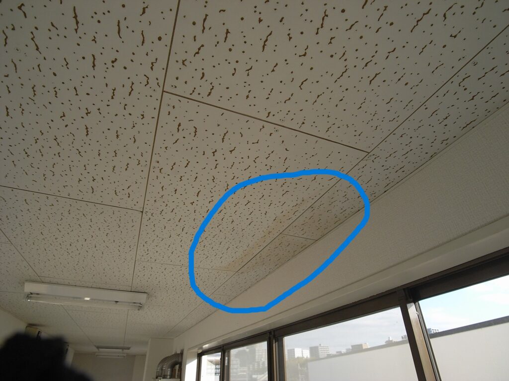 天井のジプトーンにシミができていました。