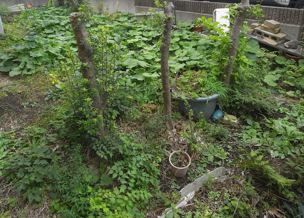 駐車部分の後ろの木が、駐車するのに邪魔になっていました。横浜市旭区